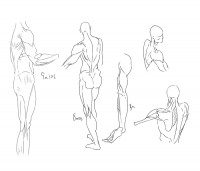 百十四日目模写