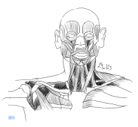 百六十九日目模写