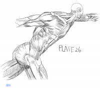 百七十八日目-弐-